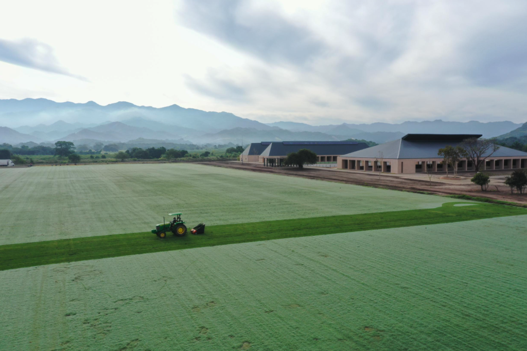 tractor cuts grass in horse pasture